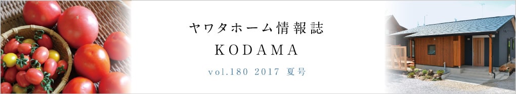 ヤワタホーム情報誌 KODAMA 2017 夏号