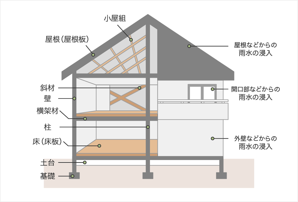 建物の構造図